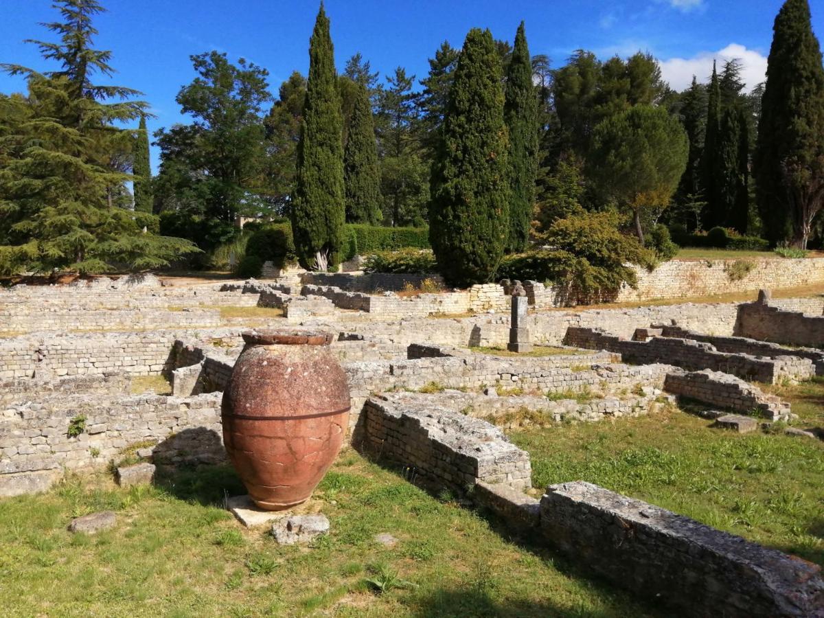 Au Villadior - Vaison La Romaine Экстерьер фото