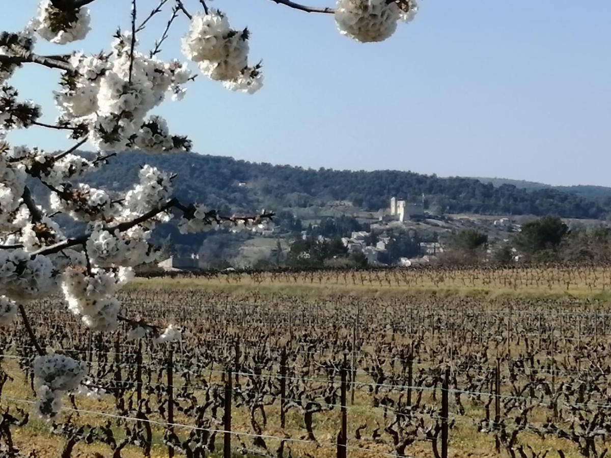Au Villadior - Vaison La Romaine Экстерьер фото
